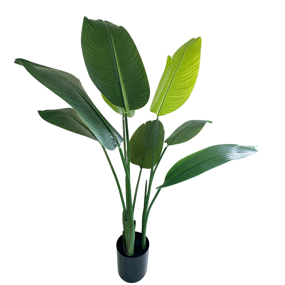 180 cm Northern Europe Decorative Artificial Green Tree Simulation Hawaii Palm Tree Indoor Rubber Monster Quality Artificial