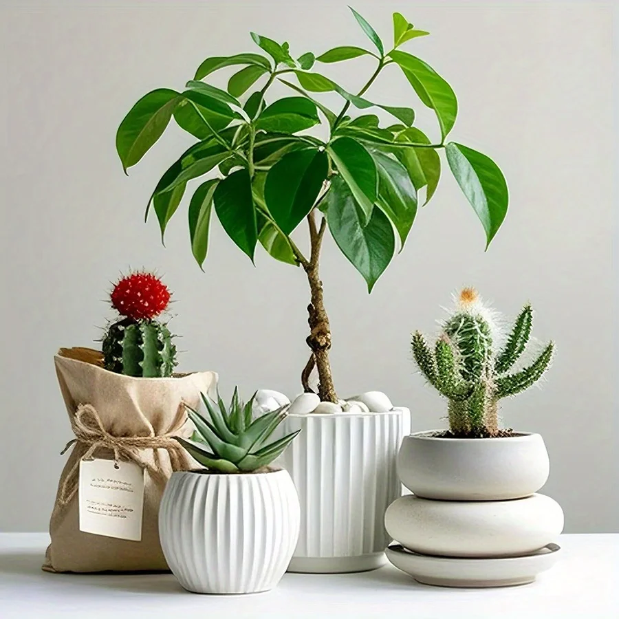 200/400 جرام الأبيض عالية مصقول الحصى الطبيعية 2-3 سنتيمتر فناء المشهد الديكور الصخور المزهريات النباتية خزان الأسماك JXB #4