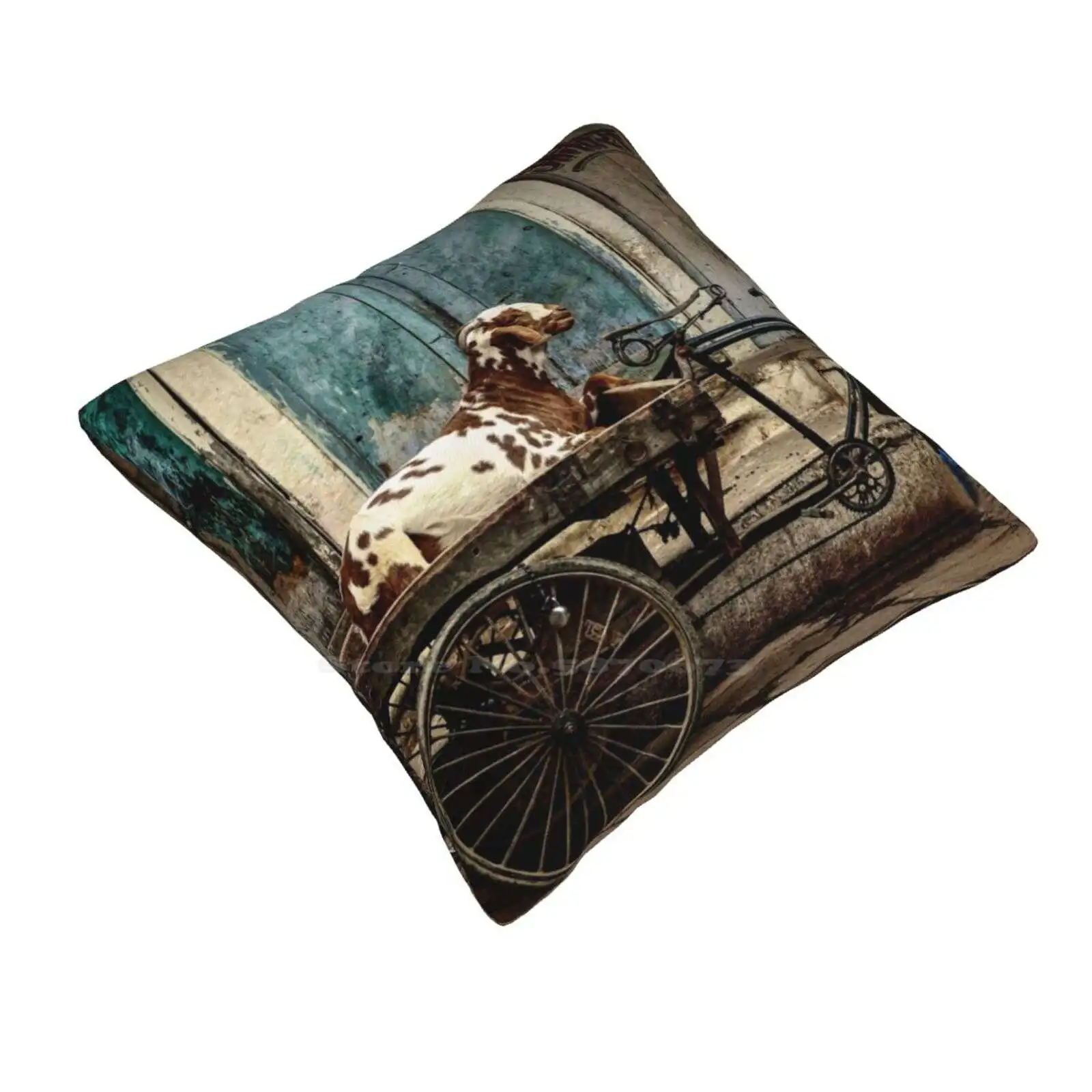 Goat On Wheels Soft Comfortable Pillowcase Goats Animals Street Valerie Rosen India Varanasi Travel South Asia Sold Found