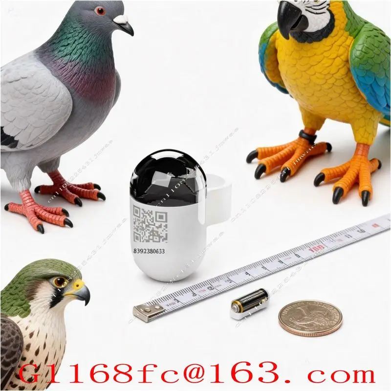 Mini Real-Time GPS  Locator Waterproof Pigeon Ring 4G Network GSM Android IOS Trajectory Locator Made Durable Plastic LBS