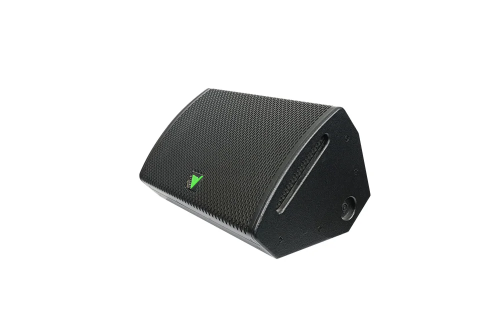 Two-Way Stage Speaker With 12 Inch Woofer And DSP Optimization