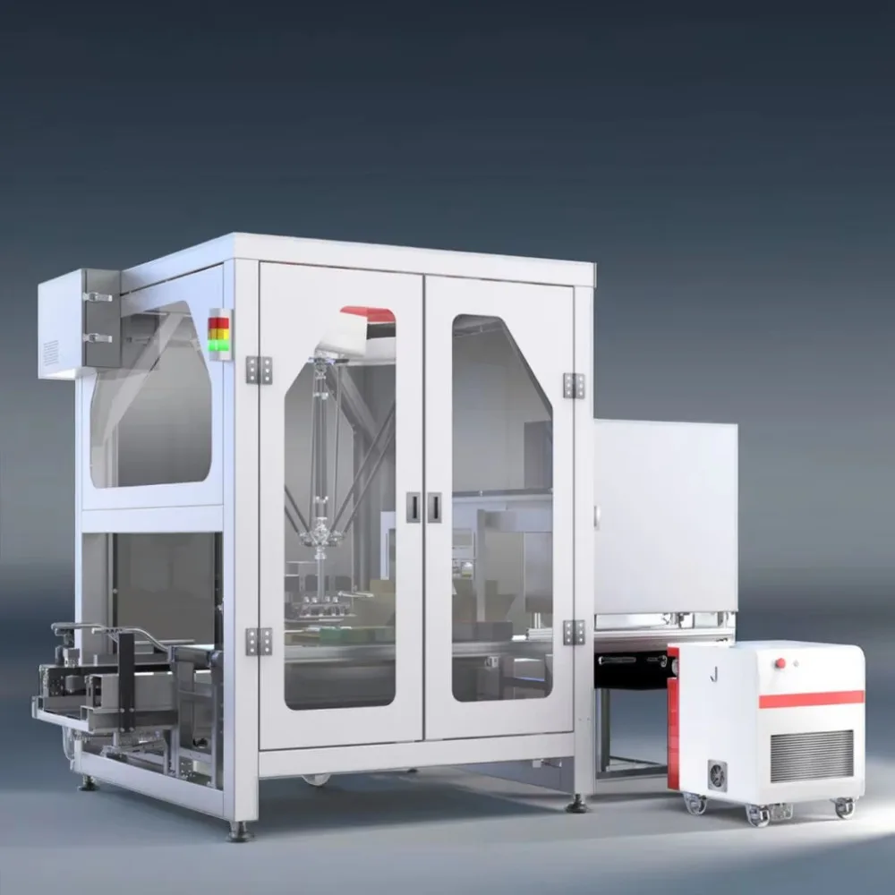 Advanced Vision-Guided Delta Robot System for High-Speed, Flexible Packaging and Case Loading Automation