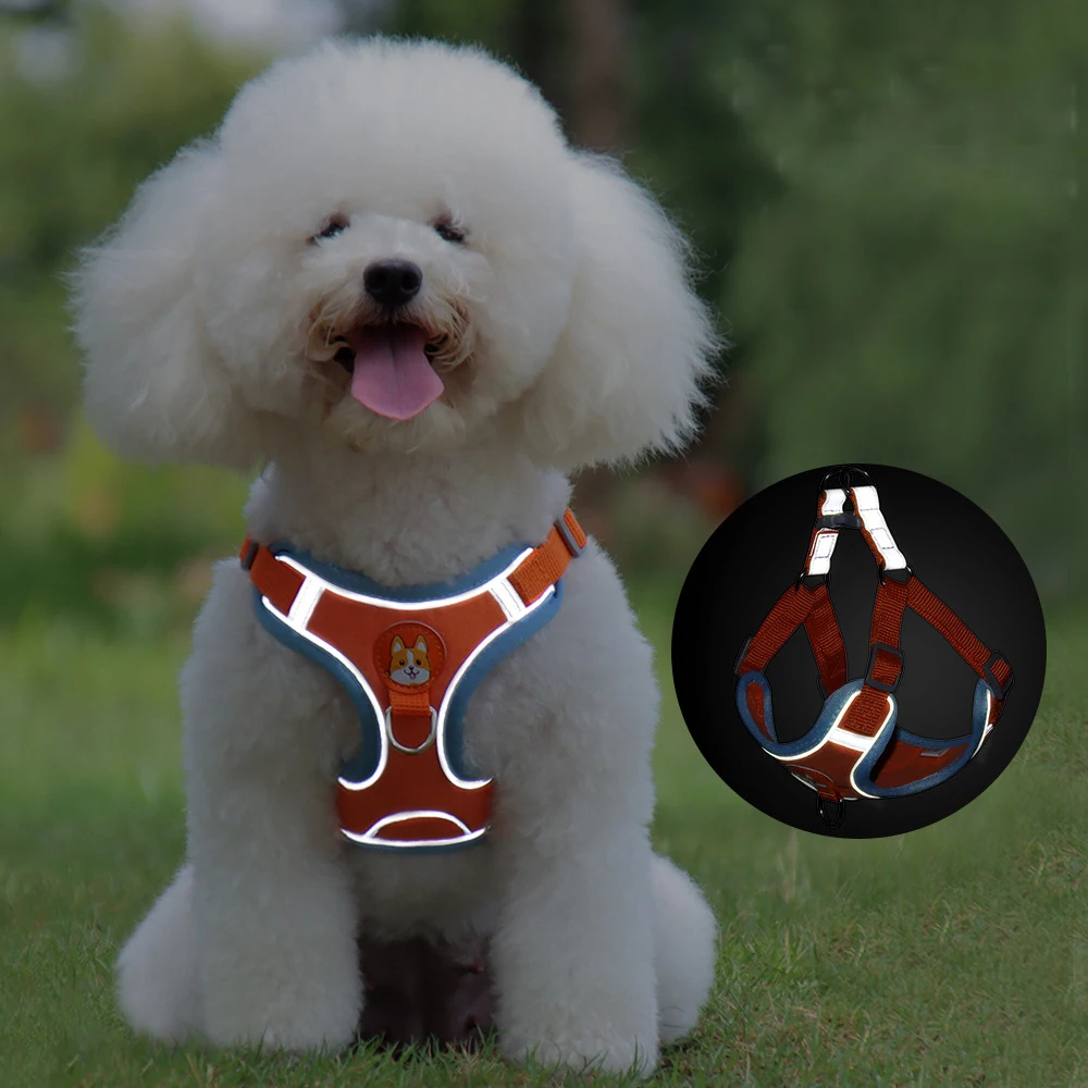 Pet Harness Dog Leash Pomeranian Puppy Cat Harness Vest Reflective Walking Lead Leash Adjustable Rope for Small Dogs Chihuahua