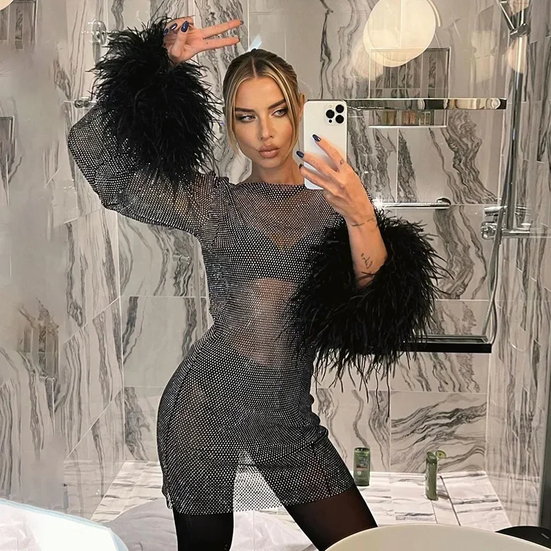 

Women's Hollow Out Mesh Dress, Long Sleeve, Mini Feathers, Shining, Club, Sexy, Evening Outfits, Party Fashion, Summer