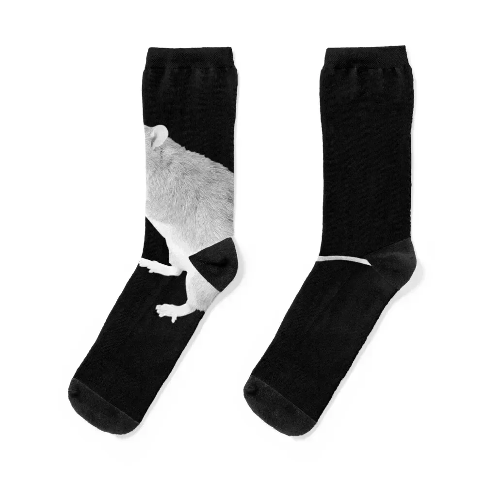 Cute rat Socks Stockings anime anti-slip sport Mens Socks Women's