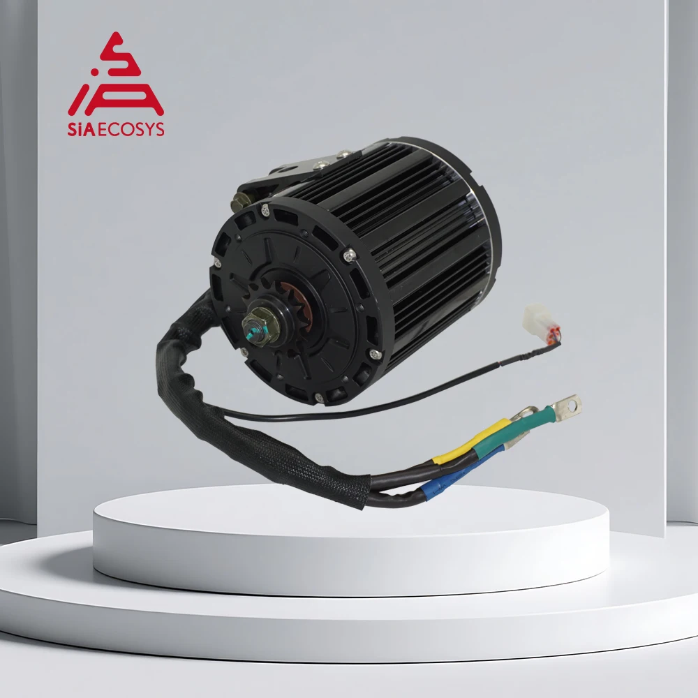 : Motori per veicoli elettrici