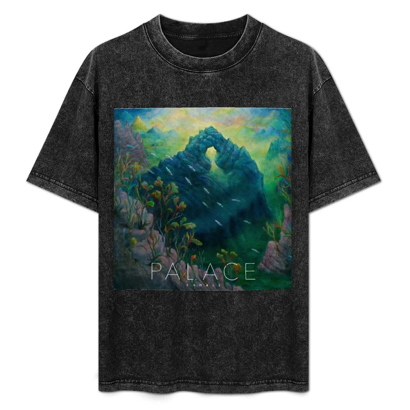 Viewunder sea Palace Shoals T-Shirt heavyweights cute clothes plus size clothes T-shirts for men cotton