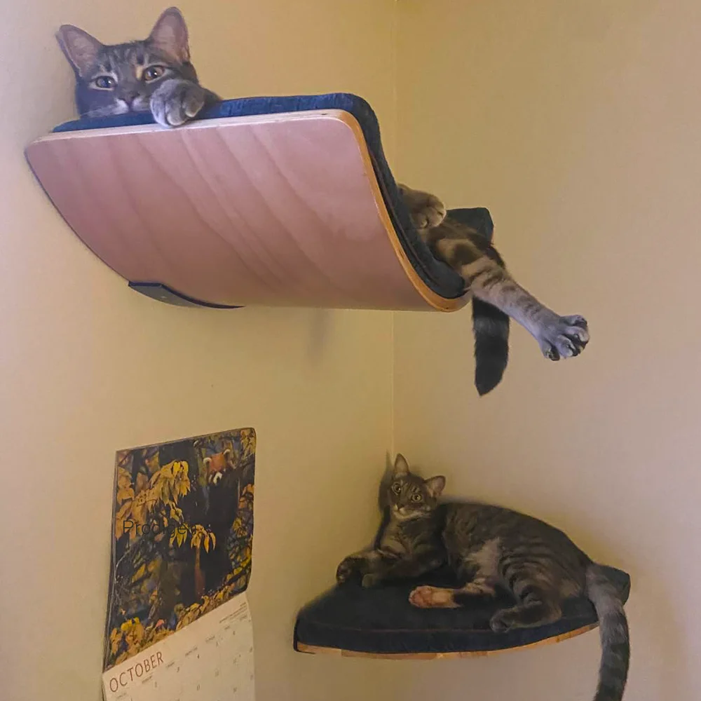 Wall Mounted Cat Climbing Shelves Cat Hammock with Ladder and Scratching Post Wooden Platform Pet Furniture for Kitten Playing