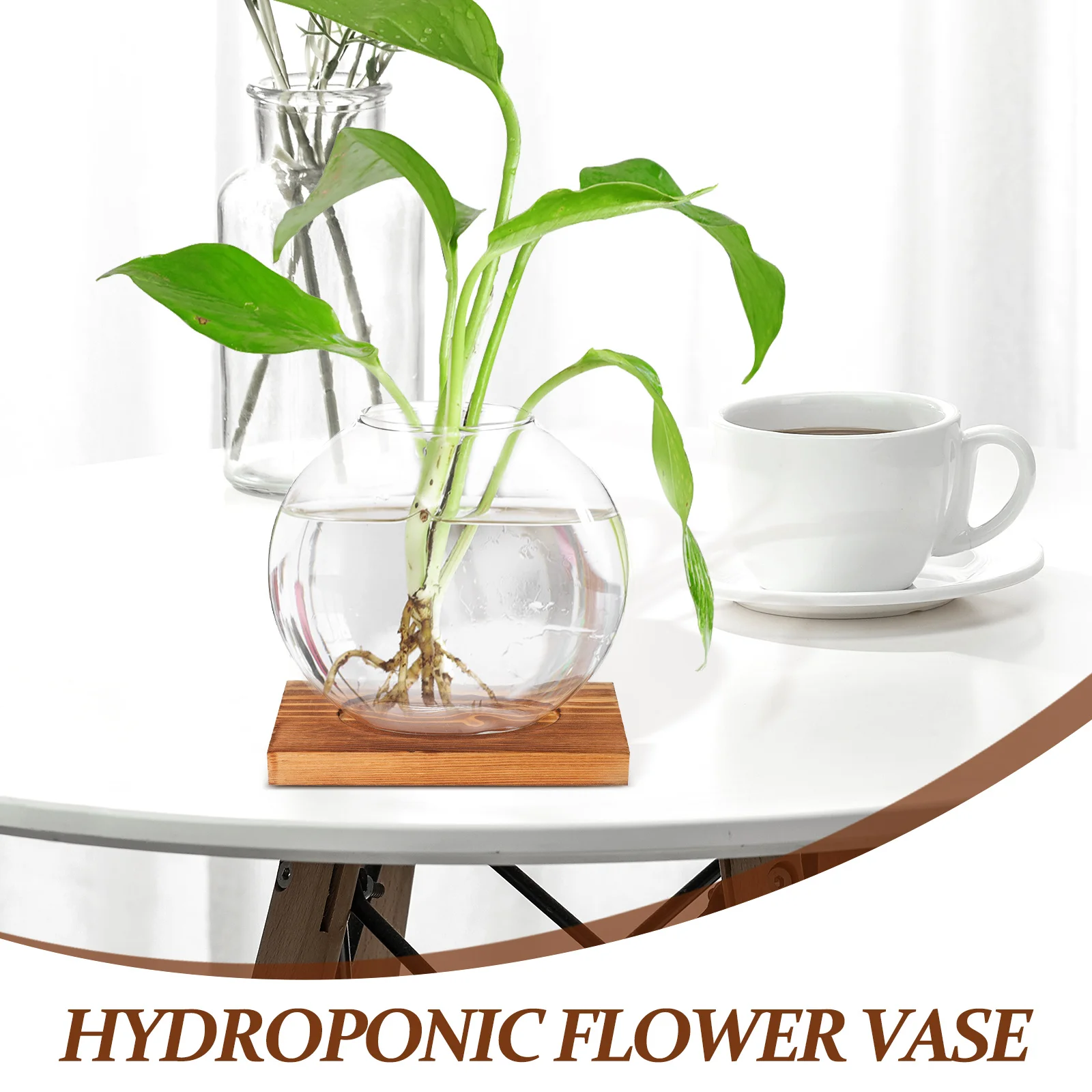 

Creative Glass Hydroponic Vase Scindapsus Aureus Planting Container Desktop Ornament Wood Base Simple Design Flower Bottle Glass