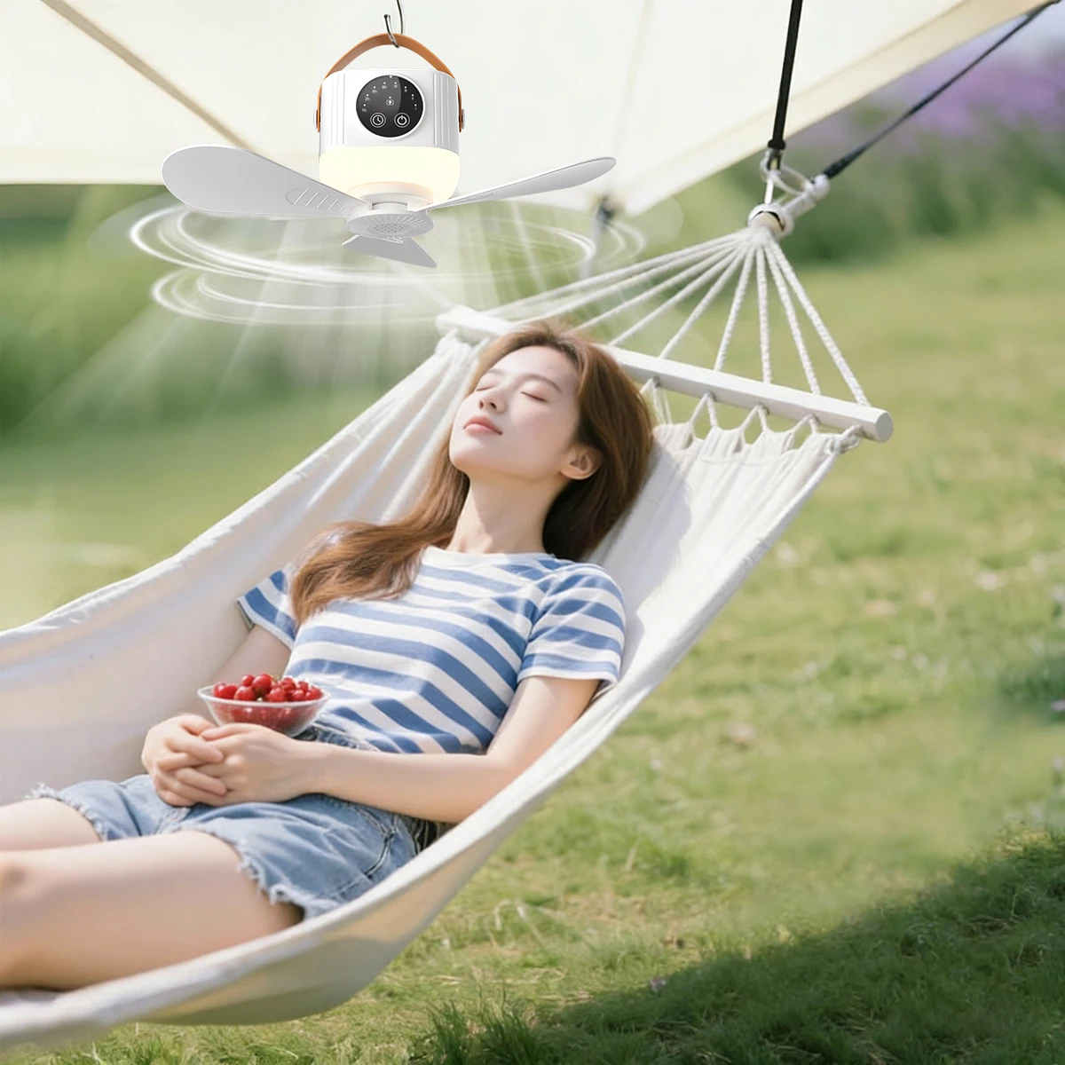LED Light With Fan Portable Si - Outdoor Camping Misting Fan recension och pris