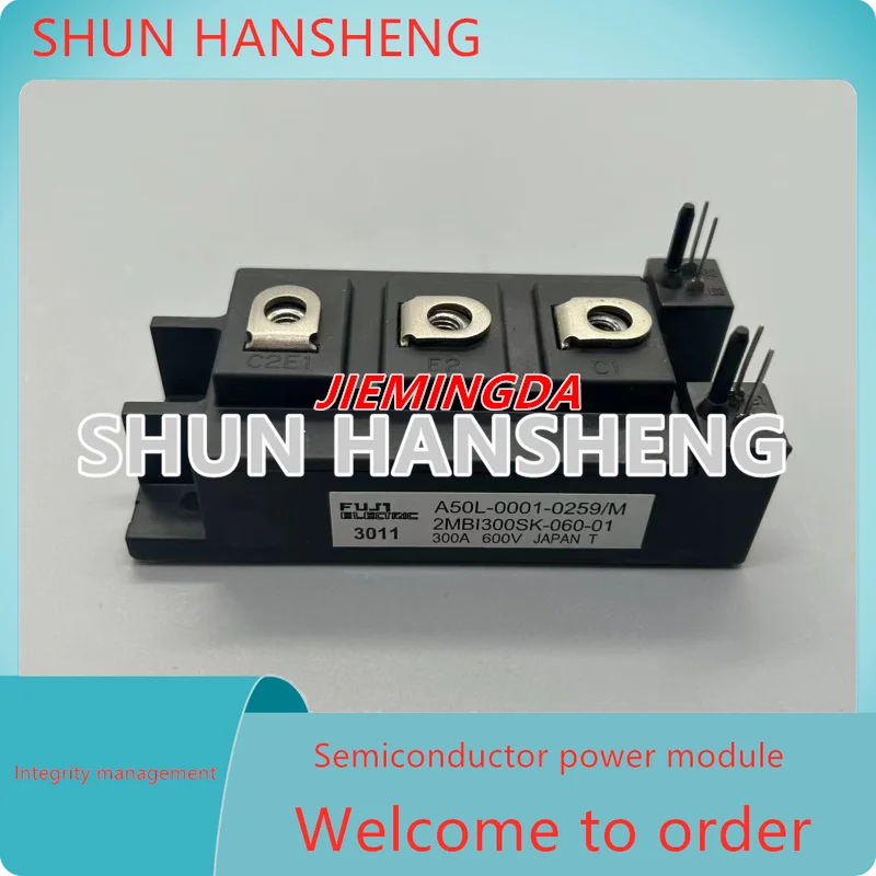 2Mbi300Sk-060-01 2M… - image