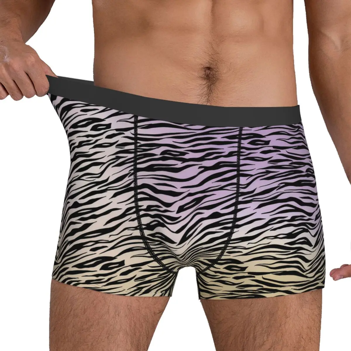 Watercolor Ombre Underwear Zebra Print Cute Underpants Print Boxer Brief Pouch Men Plus Size Boxershorts