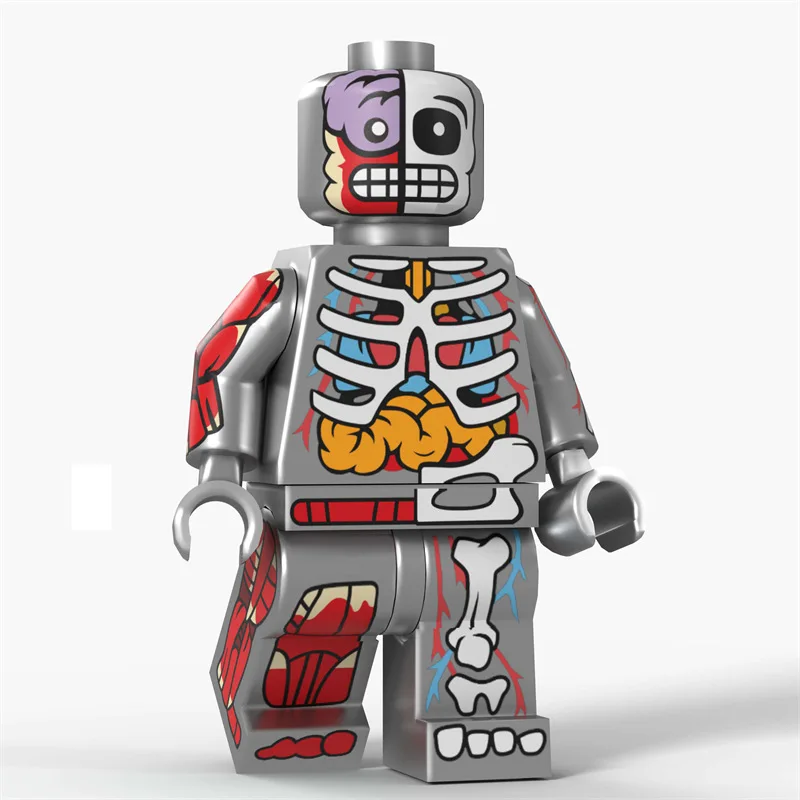 Cartoon Transparente Menschliche Anime-Muskel-Anatomie Skelett-Körper Actionfiguren Bausteine Spielzeug für Kinder Geschenke