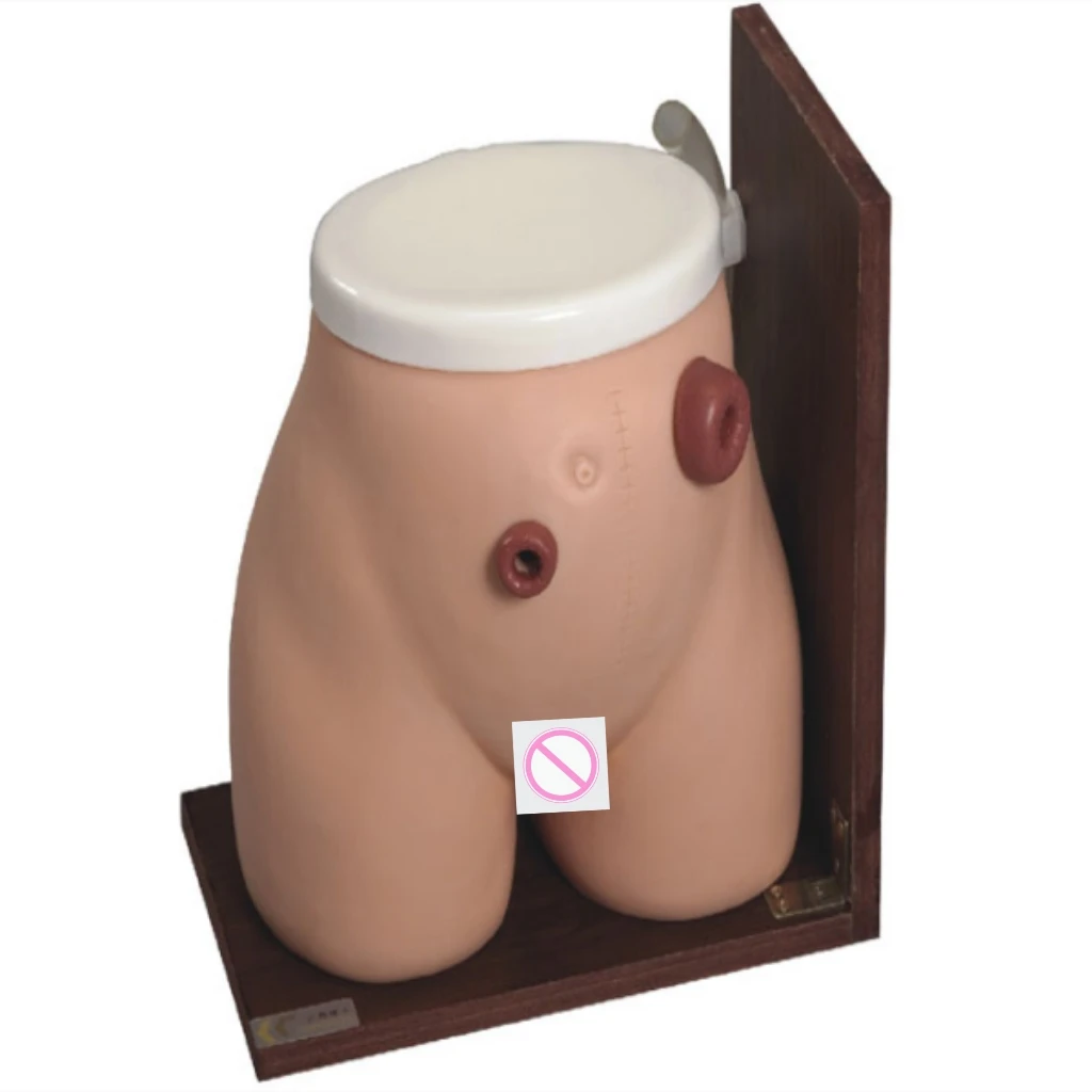 

Advanced Fistulostomy Nursing Model Fistula Ostomy Care Simulator