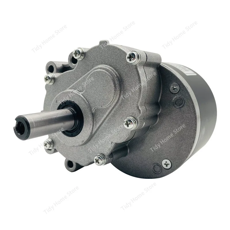 MY1016Z Permanent Magnet DC Brushed Low Speed Secondary Geared Electric Vehicle Motor 24V250W Wheelchair Motor