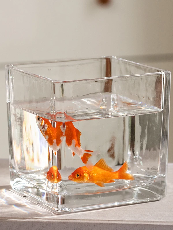 

mat Square Glass Flower Vase Aquarium Hydroponic Container Small Desktop Decoration Scenery Display Piece Home Decor