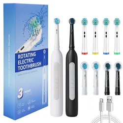 Rotating electric toothbrush suitable for adults, equipped with 6 brush heads, type-c charging, 3-speed 2-minute timed zoning