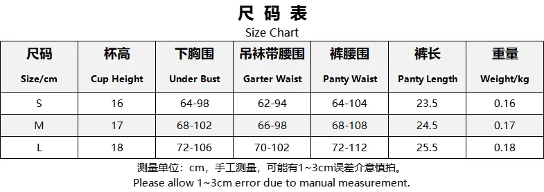 Sexy Lingerie Set Women Ruffle Embroidery Push Up Bra with Sheer Thongs and Garter Belt 4-Piece Transparent Erotic Outfits