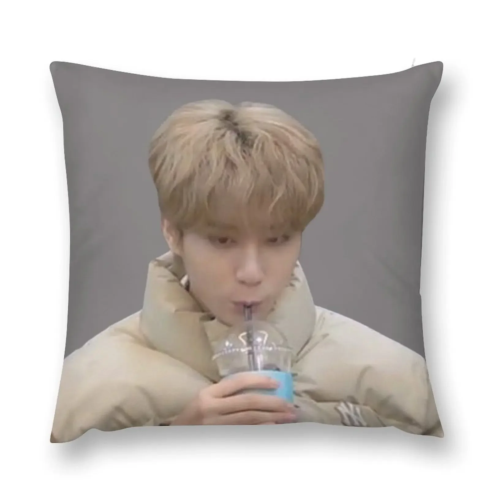 han jisung Throw Pillow christmas decorations 2025 pillows decor home Cushion Cover Luxury pillow