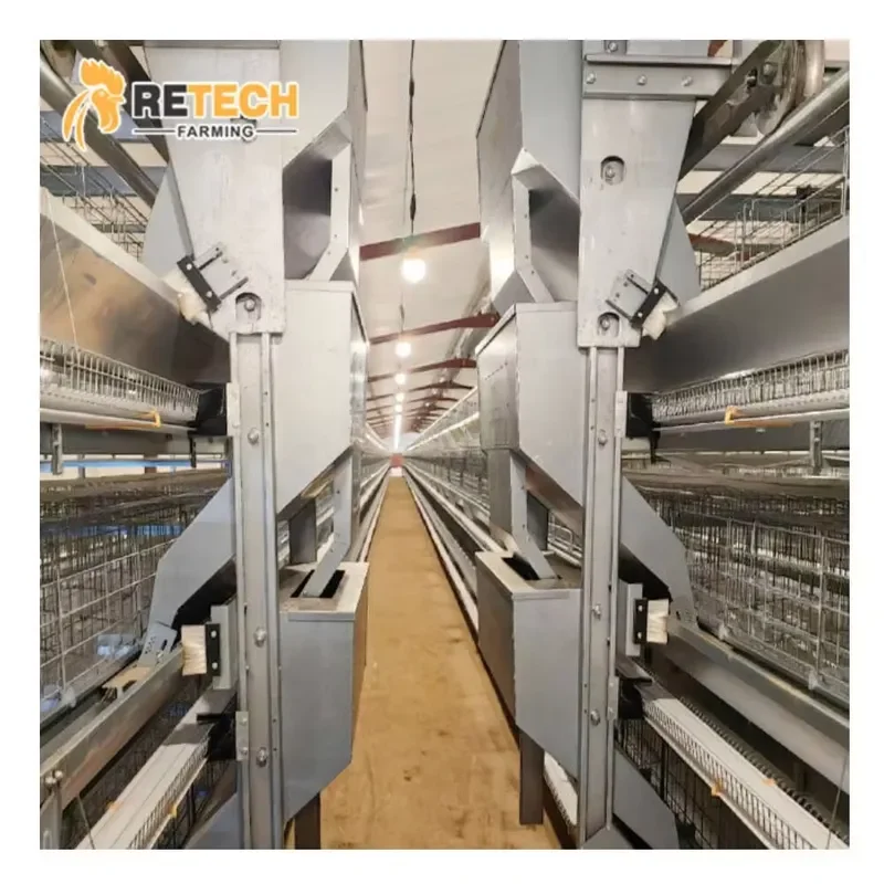 Hot Sale H Type Battery Laying Hens Poultry Cage with Automatic Egg Collection Hot Dip Galvanized Steel for Kenya