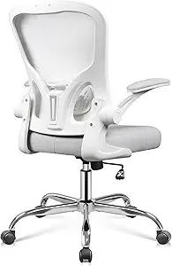 

Chair Ergonomic Computer Desk Chair with lip-up Armrests, Comy Mesh with Adjustable Lumbar Support, White