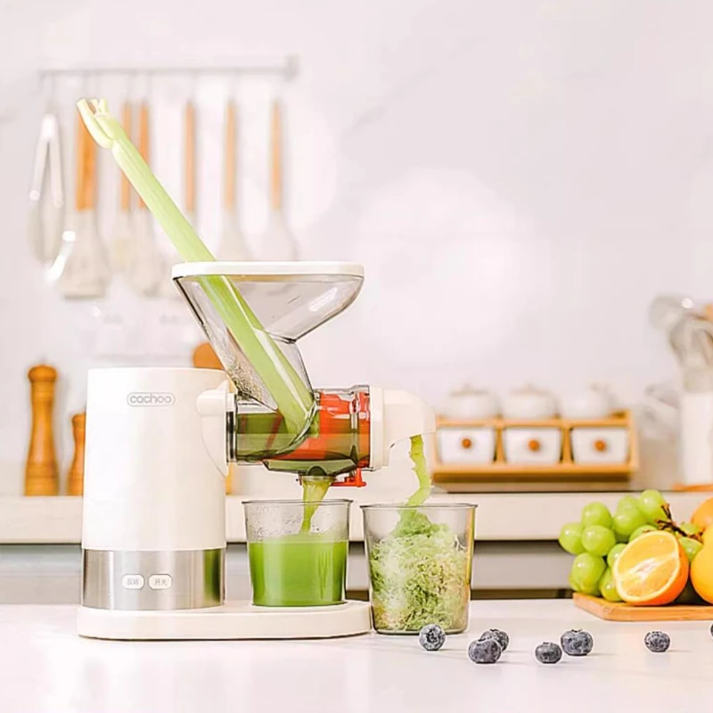 220V Slow Juicer Electric Slag-juice Separation Appliance for Fruit Vegetable خلاط كهربائي محمول  미니 믹서기  соковижималка електро