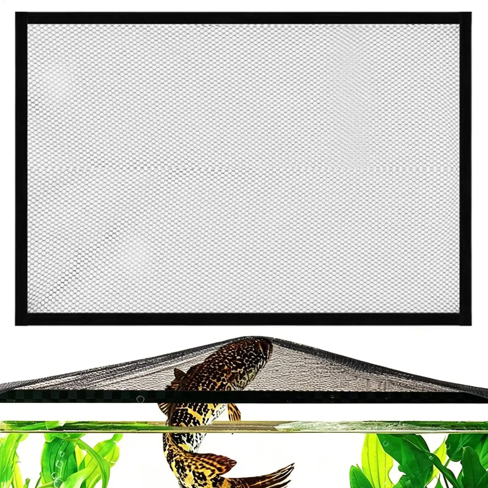 #24 Best Aquarium Fish Nets to Buy In 2026