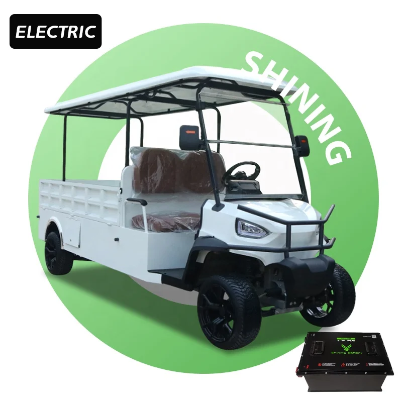 For Club Car EZGO 72V Lithium 5KW 2 Seater Flatbed Utility Electric Golf Cart Buggy Cargo Bed Assembly