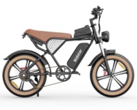 Ridstar Q20 1500W Motor 48v 20Ah Hybrid Mountain Lithium Battery Powered Off-Road Fat Tire double suspension Electric Bicycle