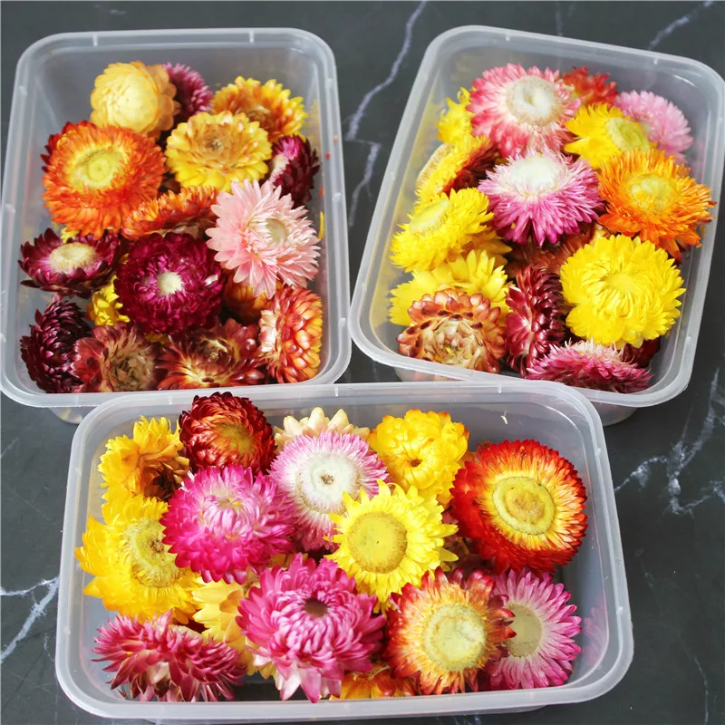 

Natural Dried Flowers Daisy Chrysanthemum Heads Boho Home Decor DIY Straw Sunflower Wedding Decoration Embossing Material