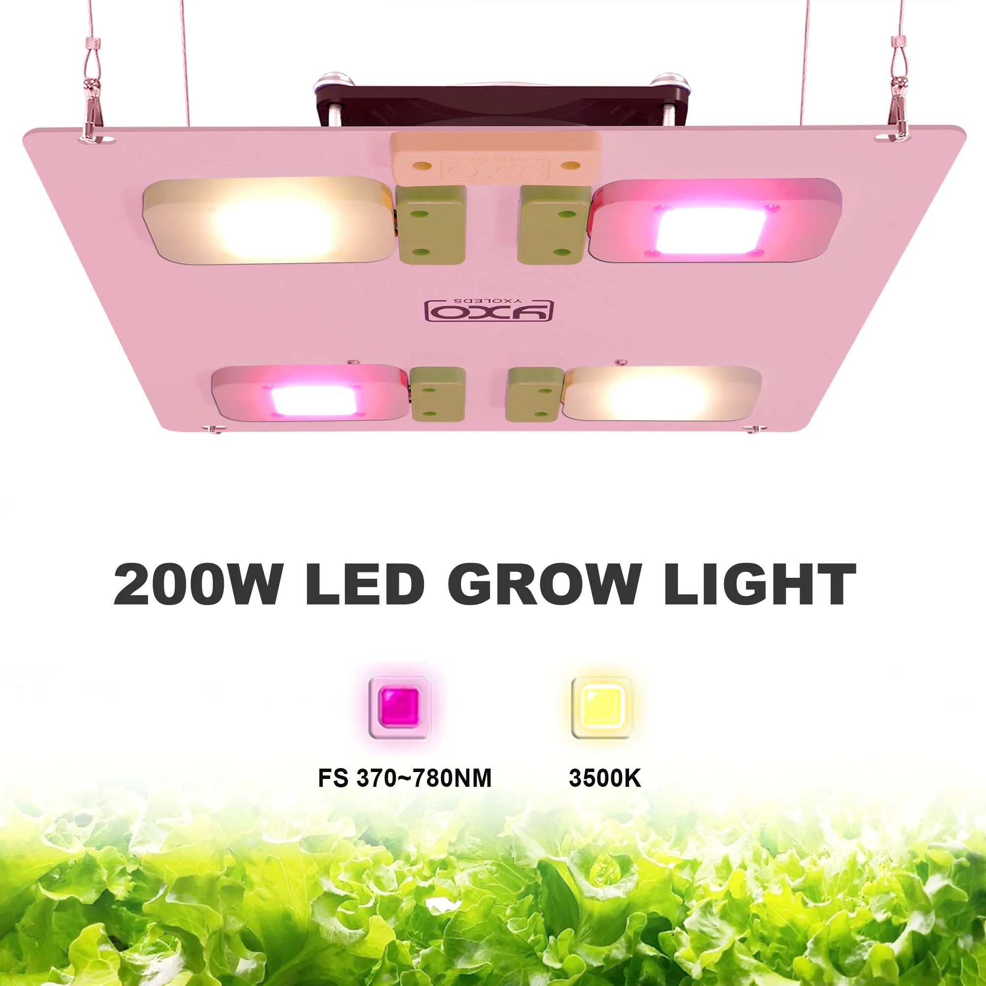Full Spectrum Quantum LED Grow Light Board LED Plant Growing Light Set For Hydroponics Vegetables 2000W For Flowering Plants