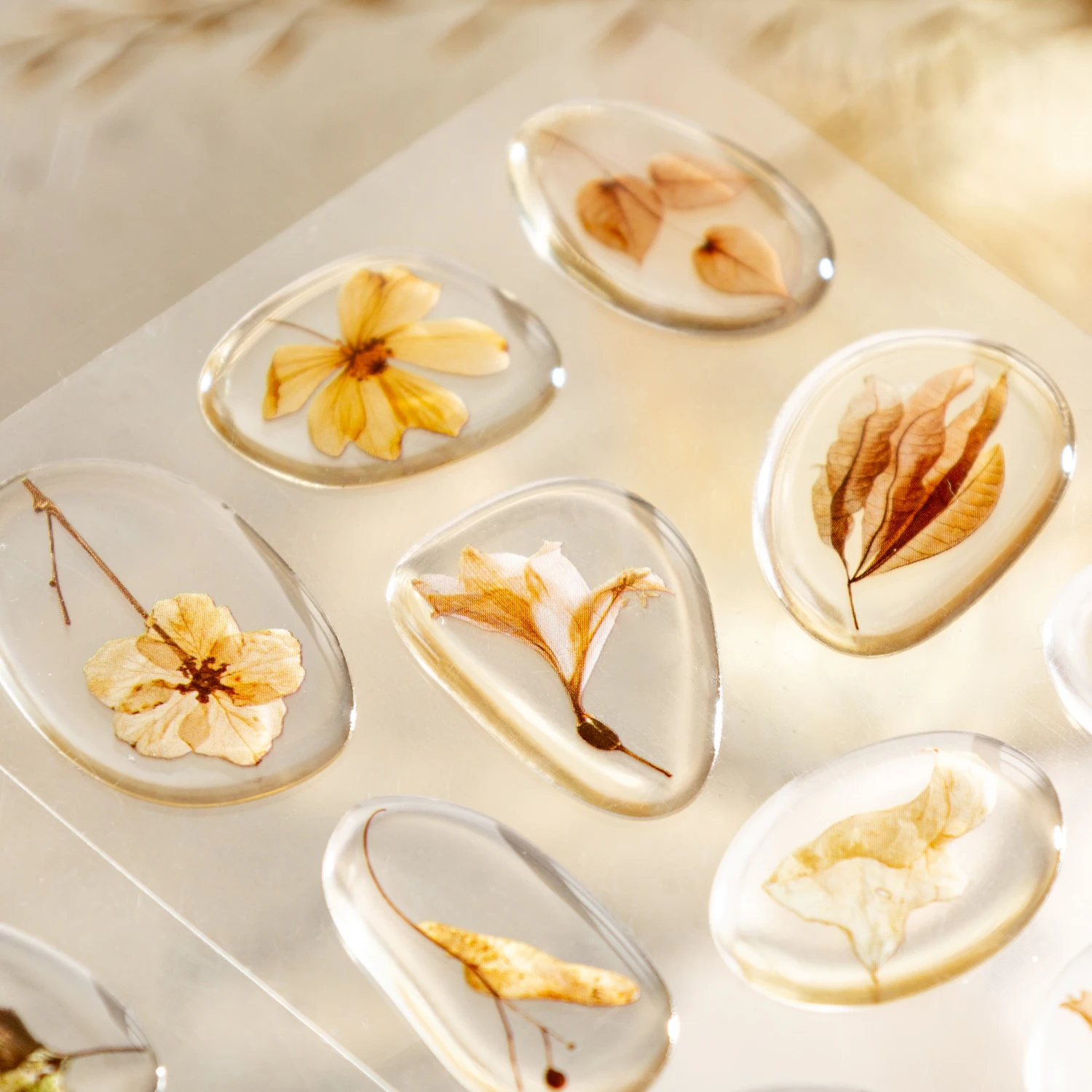 The Echoes Of Natur… - image