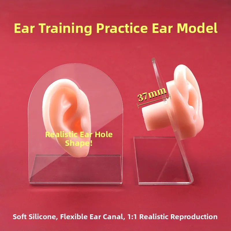 Advanced Simulation Silicone Ear Model Practice Tool Set Long Ear Canal Fake Ears Training for Ear Cleaning Tools
