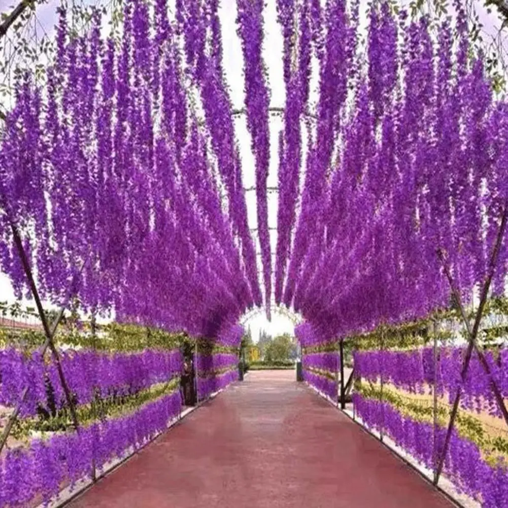 Guirlande de fleurs artificielles 10 pièces, vigne de glycine artificielle, décoration florale intérieure et extérieure pour mariage, fête, festival, simulation