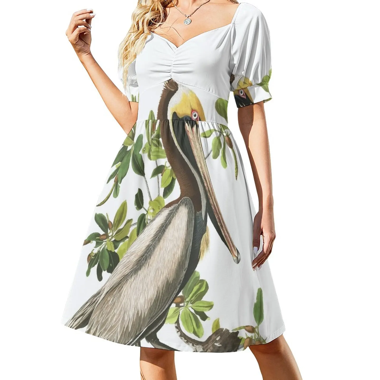 Brown Pelican - John James Audubon Dress Women's summer suit Evening gown