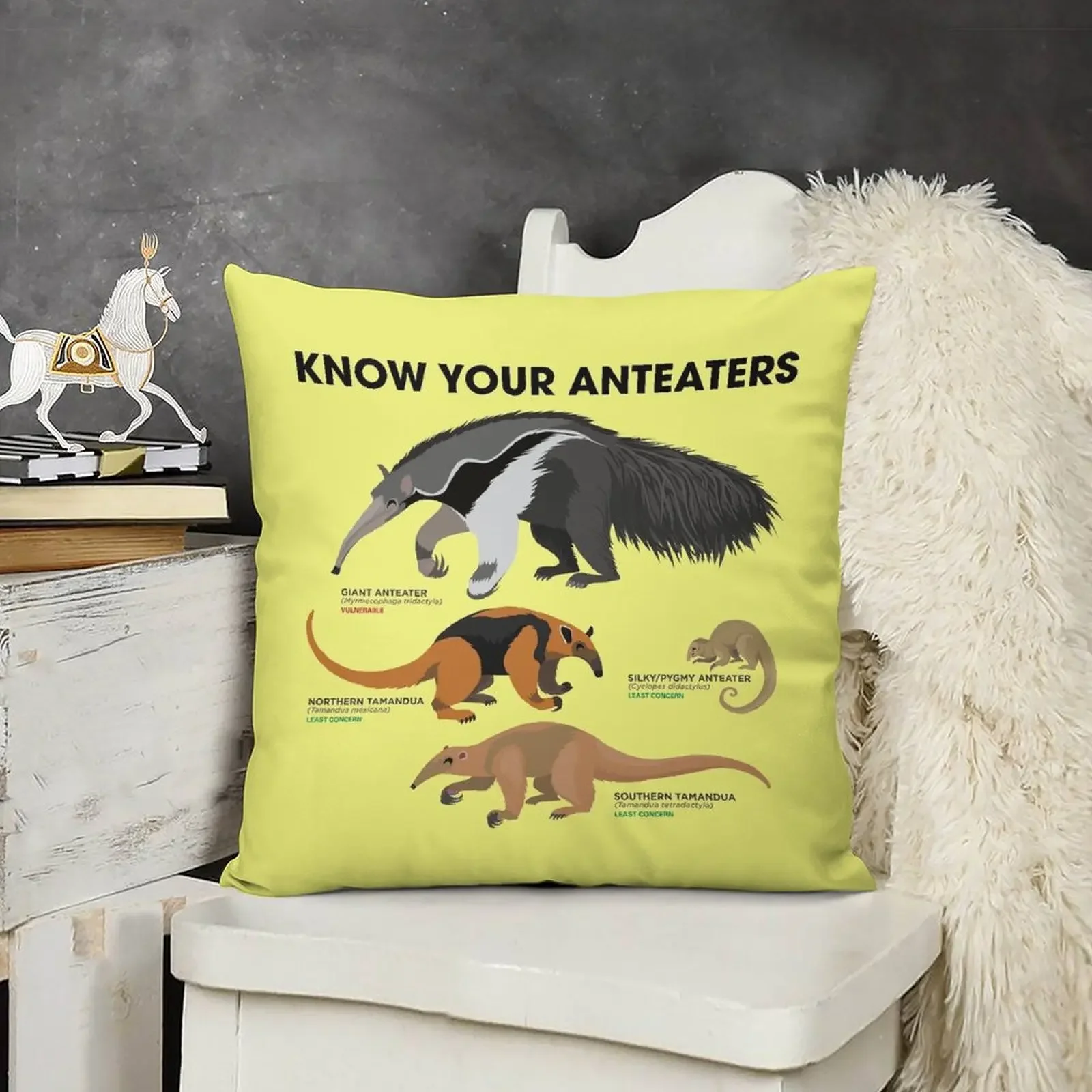 

Know Your Anteaters Throw Pillow Pillow Cases Decorative Christmas Throw Pillows Covers pillow
