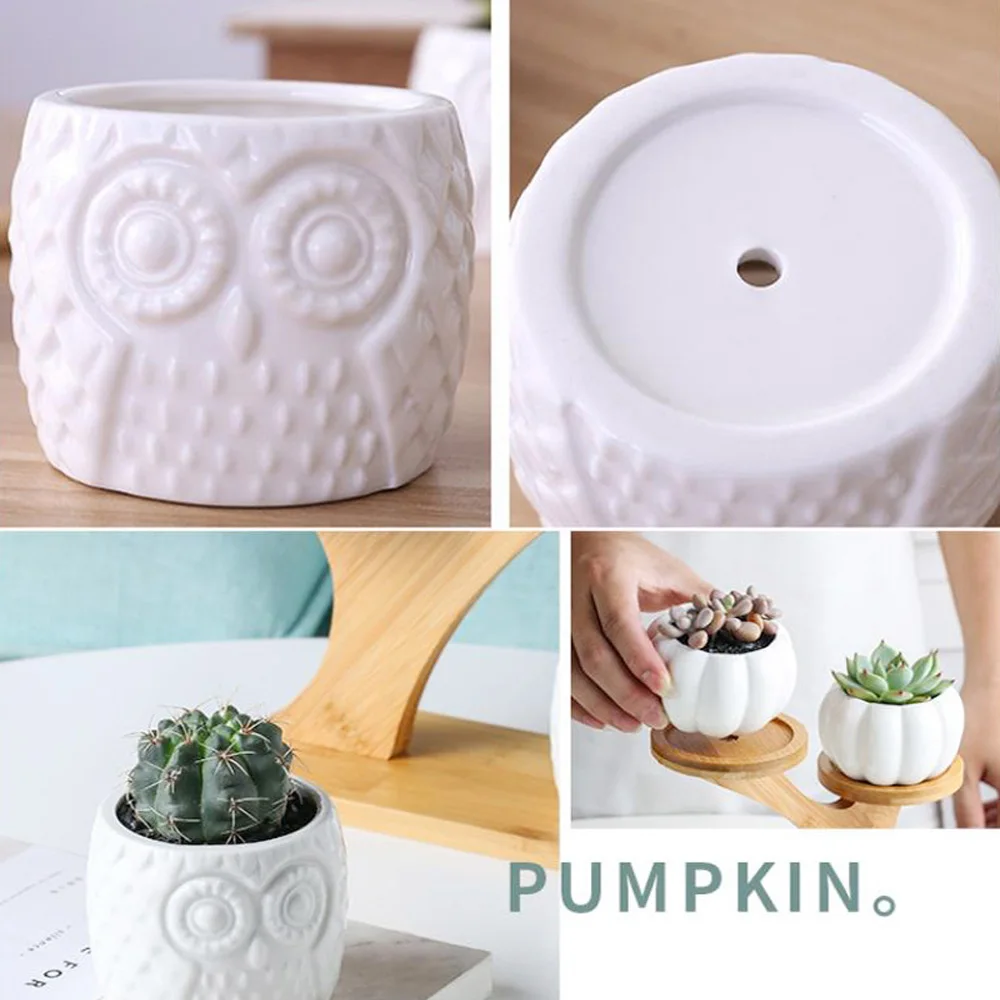 1 Set Simple White Succulent Plant Flower Pot Holder Ceramic Owl Pumpkin Pattern Pot Treetop Shaped Bamboo Shelf Pot Planter Set