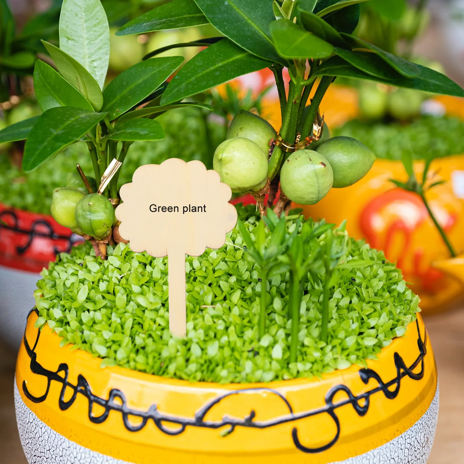 

50pcs Wood Plant Labels Printable Succulents Decorations Garden Markers Eco Friendly Safe Indoor Outdoor Flower Pot Signs