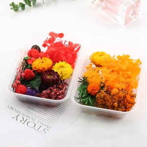 Real natural dried flowers, artificial plant for candle mold, epoxy resin, aromatherapy decoration, handcrafted accessories 10 Main Sales Natural Dry Flowers - №4