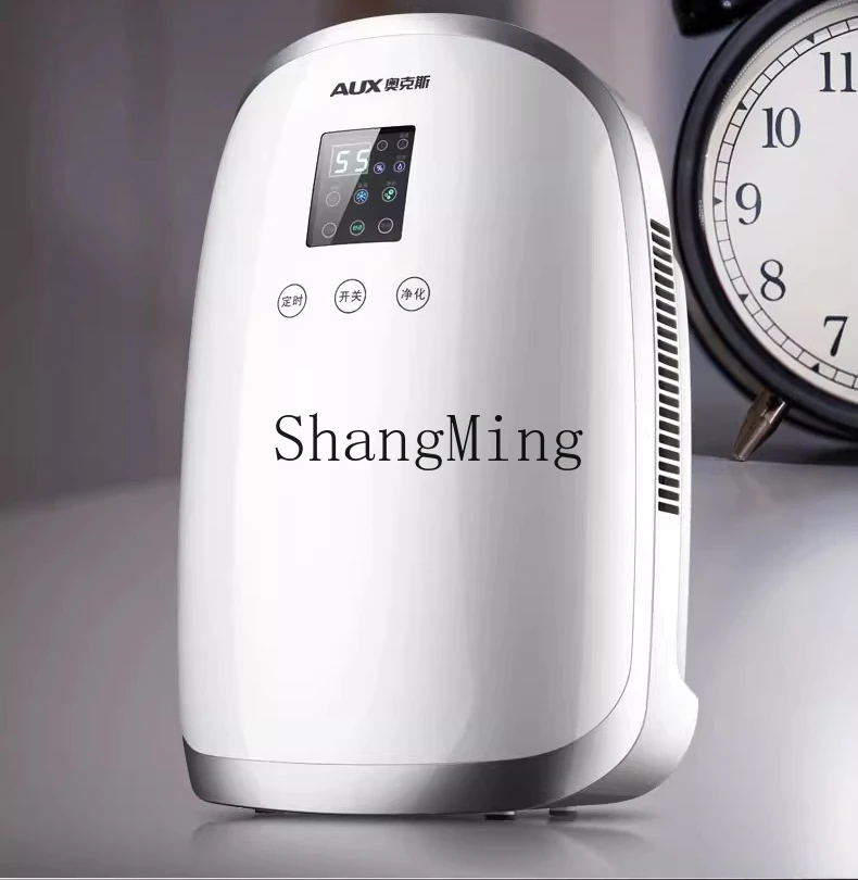 ZYY deumidificatore domestico camera da letto seminterrato piccolo deumidificatore asciugatrice