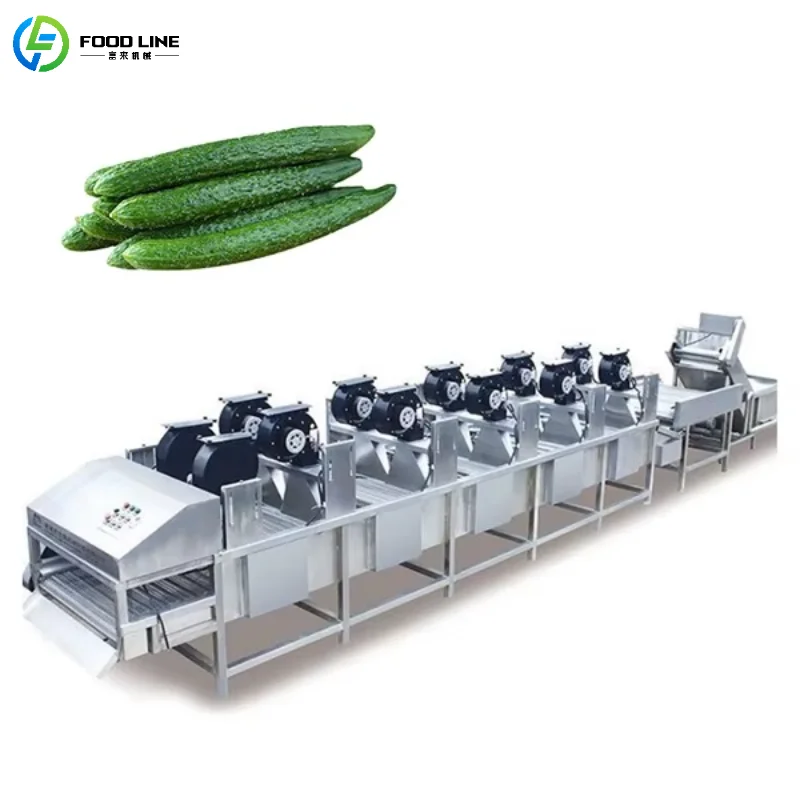 

Customized Commercial Fruit and Vegetable Drying Conveyor Belt Stainless Steel Air Dryer Continuous Conveyor Device