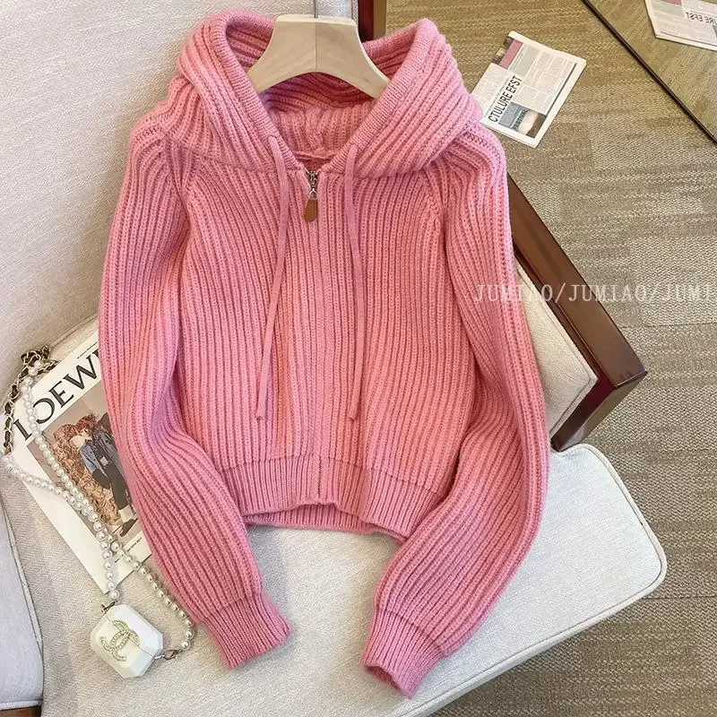 Orange Cat Gentle Style Soft Supple Hooded Knitted Cardigan Women's 2024 Spring Autumn New Distinct Inner Long Sleeve Top