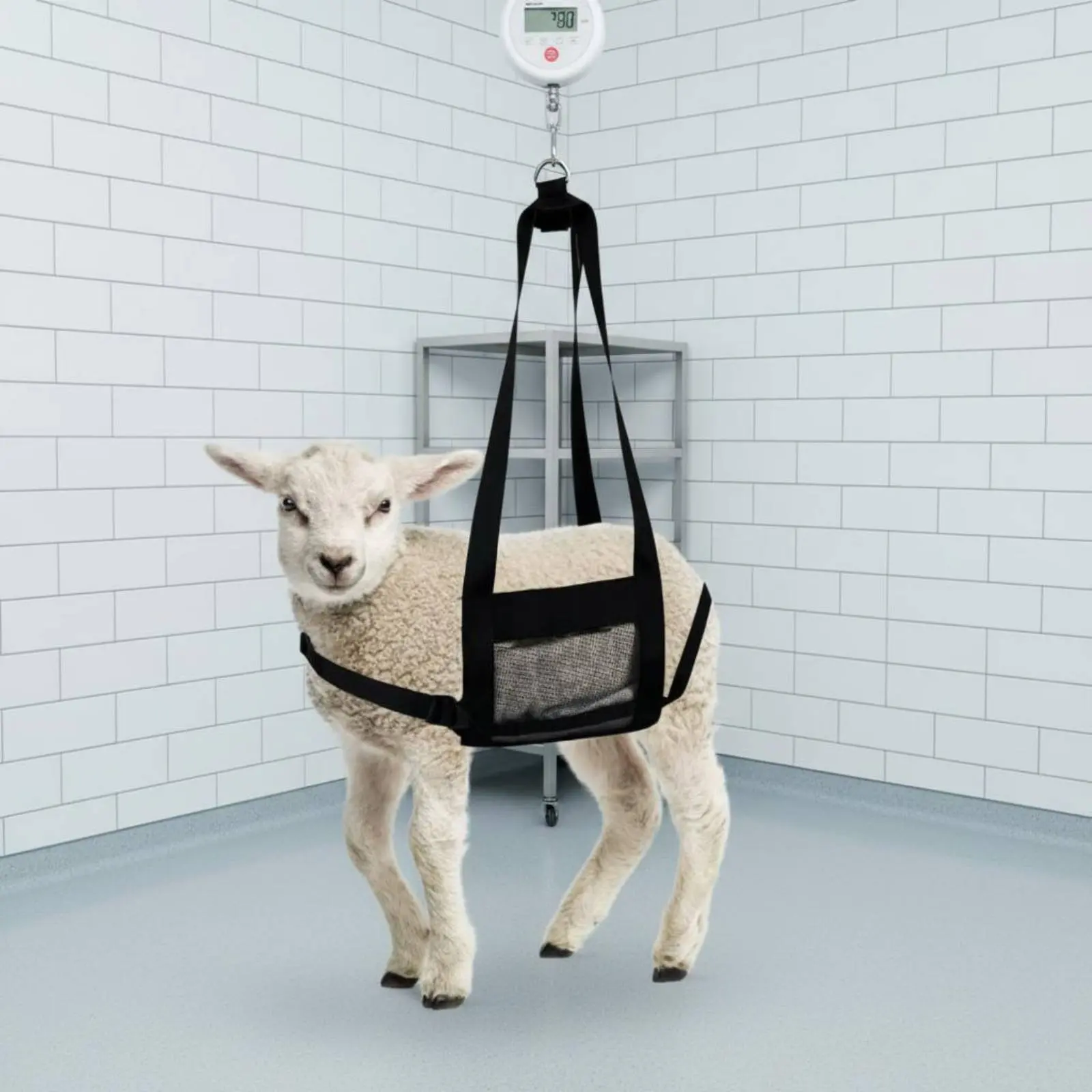 Category image: Lifting Sling