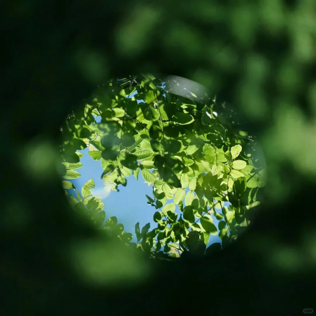 

21V 6000mAh Power Tool Rechargeable Lithium Battery For Dayi Cordless Electric Wrench Car impact wrench