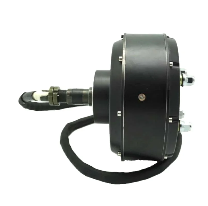 

QS 205 2000 Вт 45H V3 Тип одновальный автомобильный мотор-концентратор для электромобиля, четырехколесный автомобиль