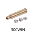 .300WIN