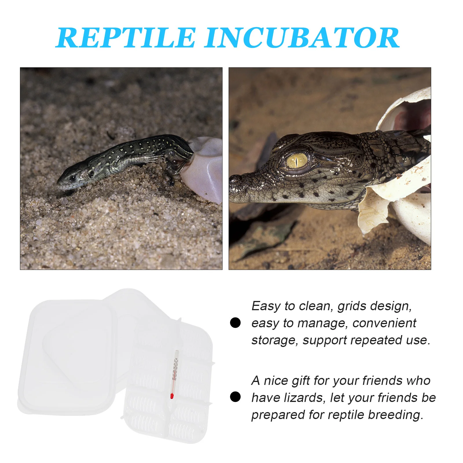 

1Pcs 12 Grid Reptile Breeding Box Lightweight Hatching Incubator for Frogs Geckos Lizards Easy Clean Reusable Egg Hatchery