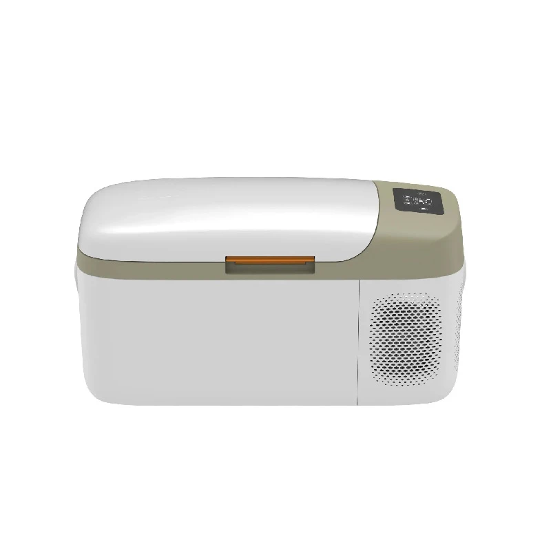 Sturdy Portable Car Fridge Freezer Energy Saving Compressor 12V 24V 220V SUV Camping Parts