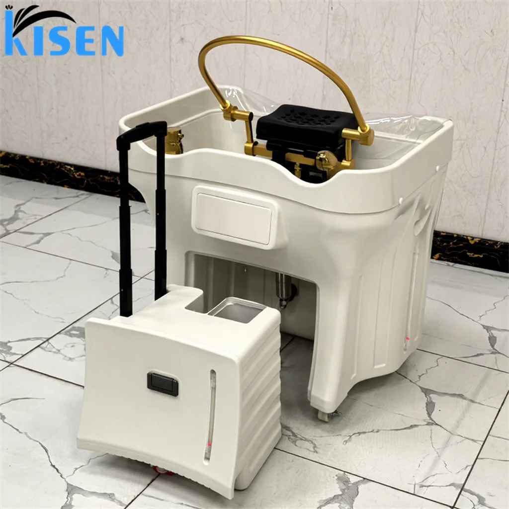 

New Fashion Portable Japanese Head Spa Sink Basin Japanese No Plumbing Shampoo Basin With Steamer Hair Washing Spa Salons