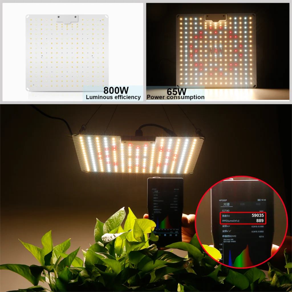 LED wachsen Licht mit Samsung 500W 600W 800W Diode Voll spektrum Pflanzen wachstum Licht für Indoor Gewächshaus Hydro ponik Pflanzen